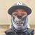 David Trueman's profile image
