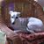 Pam Lamp's profile image
