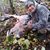 Kristine Kirchner Hoiland's profile image