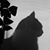 Joy Massey's profile image