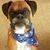 Mandy Beatty's profile image