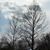 Elizabeth Chitester Strasser's profile image
