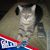 John Campagna's profile image