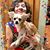 Maria Lanuza Zappia's profile image