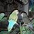 Rhonda Ann Smith Boyd's profile image