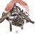 Patrick Robertson's profile image