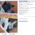 Larcy Lou's profile image