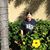 Rita Rehm Brothers's profile image