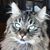 Marcella Tampa's profile image