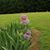 Kecia Mathis Rey's profile image