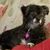 Diane Naukam's profile image