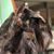 Kellye Lee's profile image