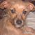 Lynn MaGill's profile image