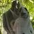 James Rebekkah Hall's profile image