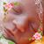 Kathleen Busse French's profile image
