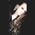 Cheyenne J Sogge's profile image