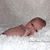 Norman Martin's profile image