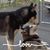 Kathy Jean Otto's profile image