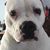 Vic Meaut's profile image