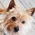 Marilyn Knapp Litt's profile image