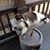 Maria F. Brown's profile image