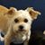 Marta Pierson Love's profile image