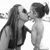 Senada Telic-Markasevic's profile image