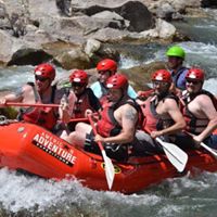 Shaun Hodges's profile image