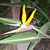 Anita Keeler's profile image