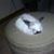 Tracy Henry Ante's profile image