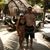 Alexandrea Rae Mattox's profile image