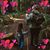 Robyn Borden's profile image