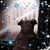 Kim Doddato's profile image