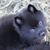 Beth Lilly's profile image