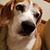 Debbie Goeser's profile image