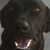 Copilot Craig's profile image