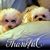 Lynda Euell-Taylor's profile image