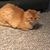 Kathleen Miller-Kinsey's profile image