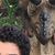 Yahir Zamora's profile image