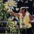 Lori Robertson's profile image