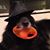 Colleen Koch's profile image