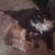Jeanine Manda's profile image