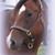 Trish Campese's profile image