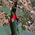 Yannick Ille's profile image
