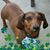 Lyna Phillips Watson's profile image