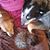 Heather Cornwell's profile image