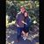 Peter Strecker's profile image