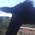 Jill Pallulat's profile image