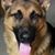 Teressa Ward Jenkins's profile image