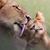 Anahi Y Punto's profile image